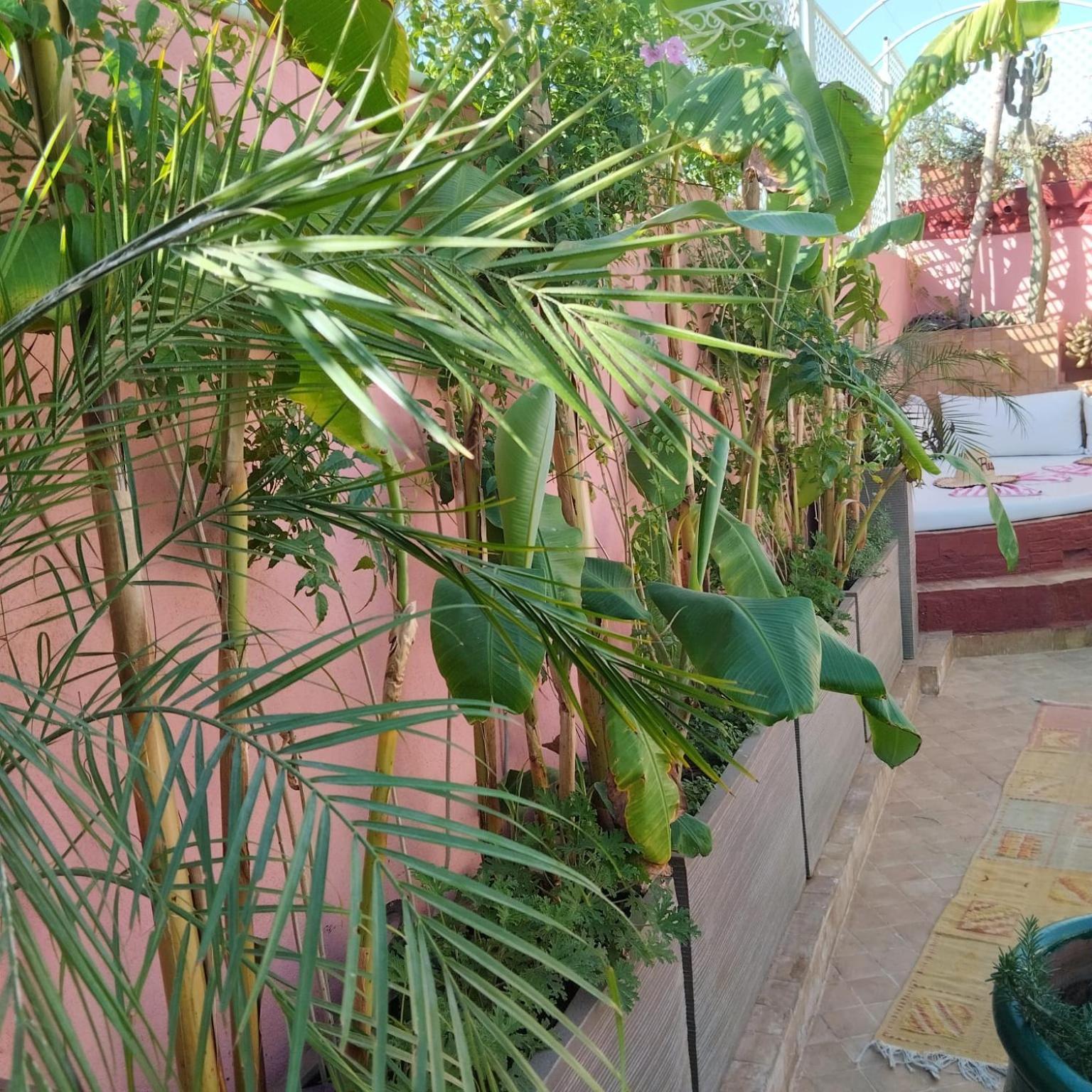Riad Laith (Adults Only) Marrakesh Esterno foto