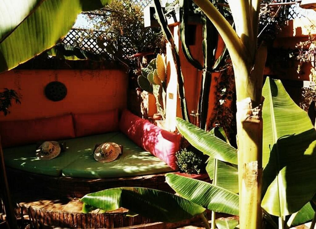 Riad Laith (Adults Only) Marrakesh Esterno foto