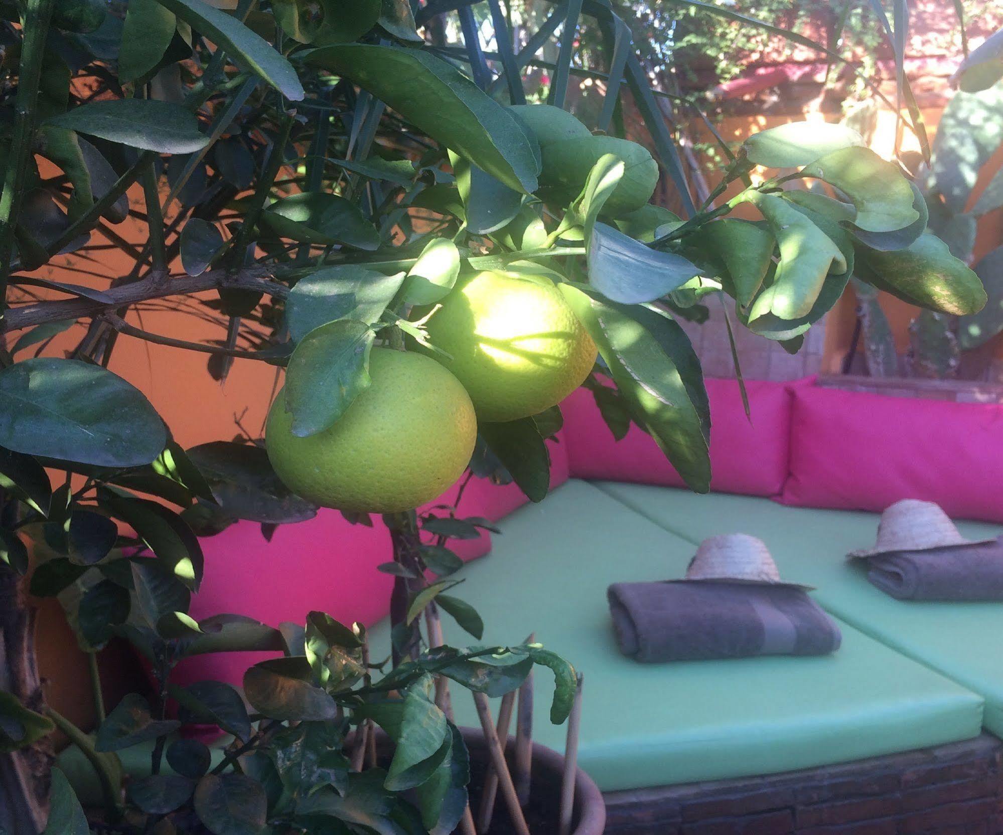 Riad Laith (Adults Only) Marrakesh Esterno foto
